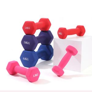 Colorful Vinyl Dumbell