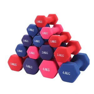 Colorful Vinyl Dumbell