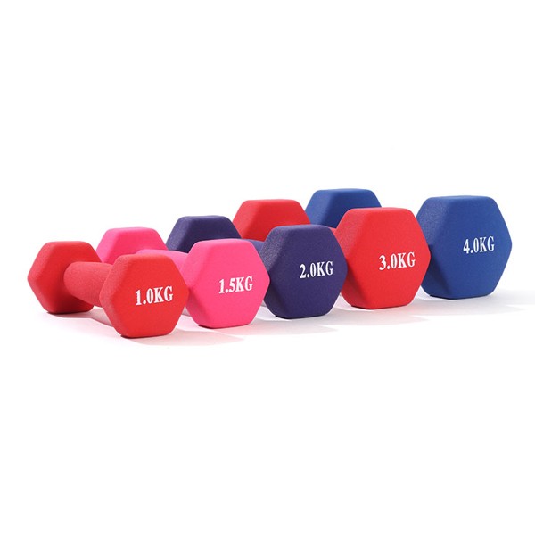 Colorful Vinyl Dumbell