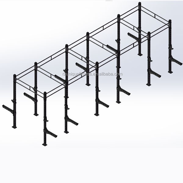 Cross Fit Rig