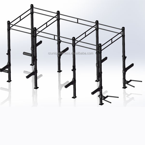 Cross Fit Rig