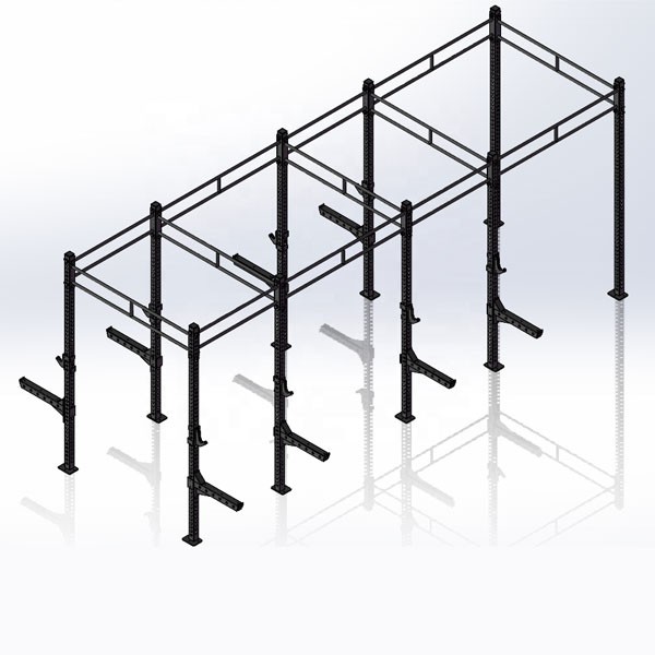 Cross Fit Rig