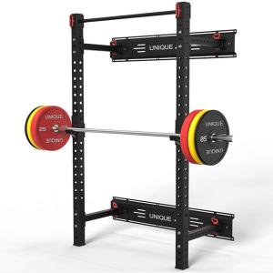 Folding Wall Mounted Power Rack